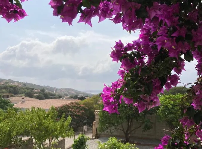 Casa Santa Giulia Πανσιόν Propriano (Corsica)